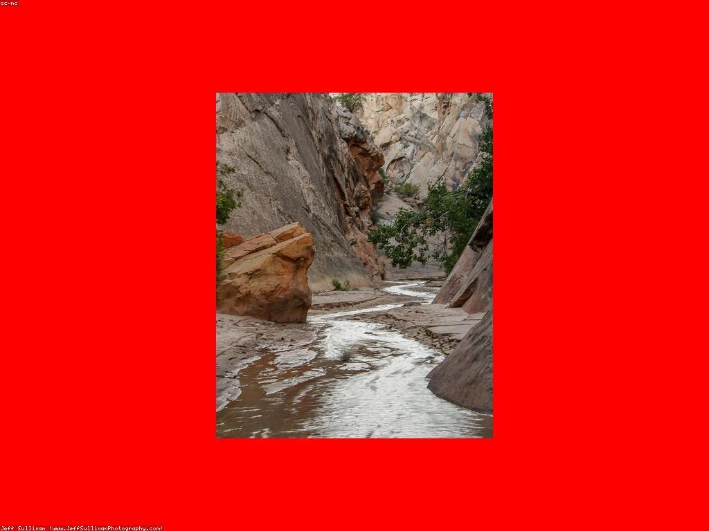 គន្លឹះសម្រាប់ការគ្រប់គ្រងទូរស័ព្ទដៃស្លុត